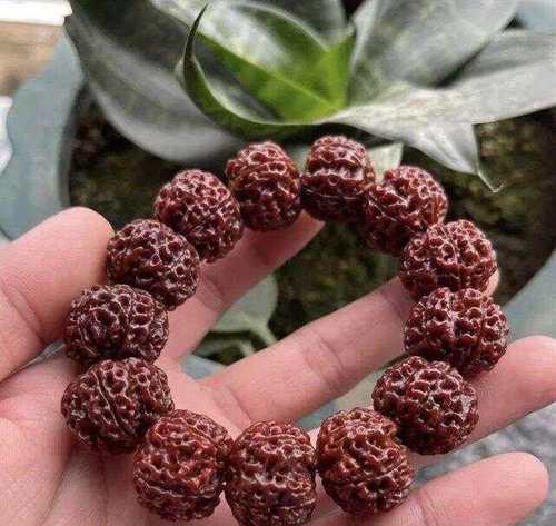 如何有效清理金刚菩提子？（一种简单而高效的清理方法，让你的金刚菩提子恢复光彩照人）