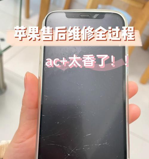 无锡苹果天才吧——为你带来创新与乐趣（探索无锡苹果天才吧的魅力，畅享科技与艺术的融合体验）
