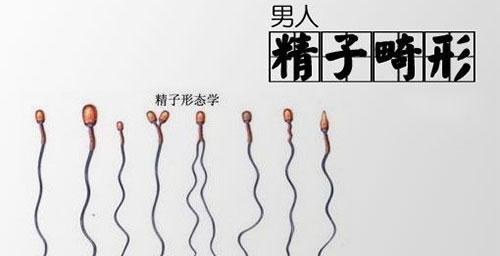 抽烟对胚胎的影响（胚胎发育过程中的抽烟危害及预防措施）