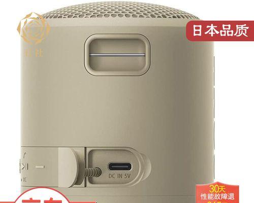 探究索尼SRSXB10的音质与性能（一款小巧便携的音响，给你带来震撼的音乐体验）