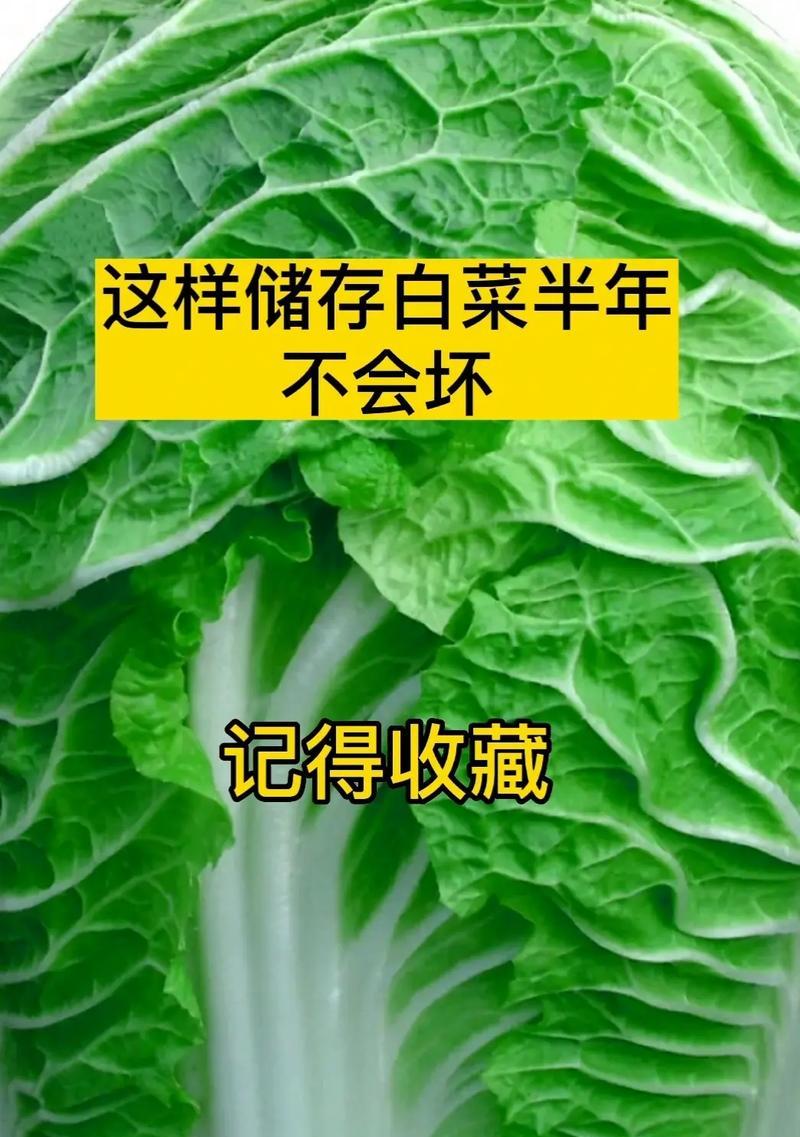 大白菜装系统教程（一步步教你如何用大白菜完成系统装机，操作简单快捷）